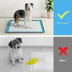 DOWNYPAWS - Tapis d'entraînement en silicone pour chiens et chats - 61 x 61 cm - anti - éclaboussures - livré avec quatre clips