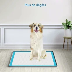 DOWNYPAWS - Tapis d'entraînement en silicone pour chiens et chats - 61 x 61 cm - anti - éclaboussures - livré avec quatre clips