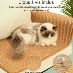 DOWNYPAWS - Tapis griffoir pour chat