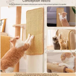 DOWNYPAWS - Tapis griffoir pour chat