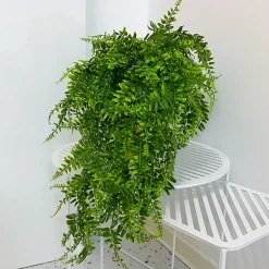 DOWNYPAWS - Vignes artificielles d'asperges pour suspension