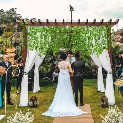 DOWNYPAWS - Vignes artificielles, fausses vignes vertes 12 pièces, pour décoration suspendue