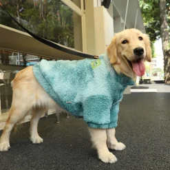 DOWNYPAWS - Vêtements pour chiens-manteau d'hiver pour petit chien poids recommandé 20kg: