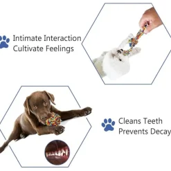 DTOPBUYAGE - 4 pièces jouets interactifs corde pour petits/moyens chiens