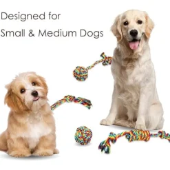 DTOPBUYAGE - 4 pièces jouets interactifs corde pour petits/moyens chiens