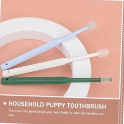 DTOPBUYAGE - 4 pièces pour nettoyer dents de chat dtopbuyage