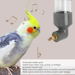 DTOPBUYAGE - Abreuvoir automatique pour divers oiseaux