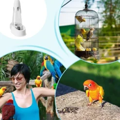 DTOPBUYAGE - Abreuvoir automatique oiseaux antitaches