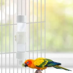 DTOPBUYAGE - Abreuvoir automatique pour divers oiseaux