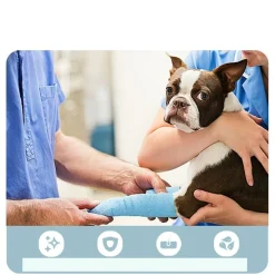 DTOPBUYAGE - Adhésif pour pattes de chien dtopbuyage pour tous les chiens