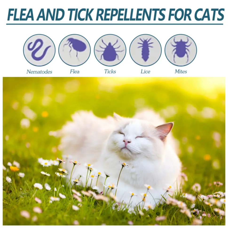 DTOPBUYAGE - Agent anti-puces et tiques pour animaux de compagnie, 50 ml - dtopbuyage