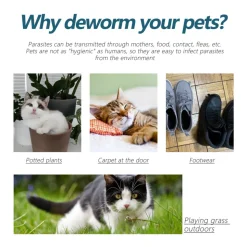 DTOPBUYAGE - Agent anti-puces et tiques pour animaux de compagnie, 50 ml - dtopbuyage