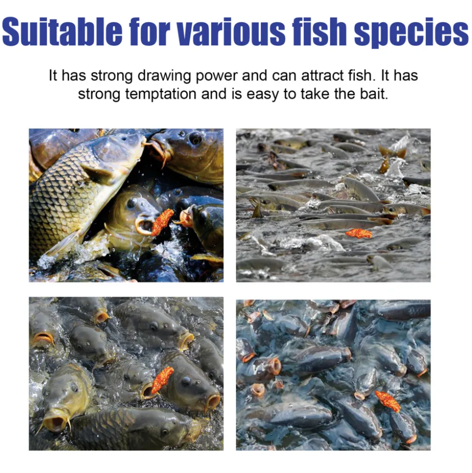 DTOPBUYAGE - Attractif pour pêche à base de maïs - dtopbuyage