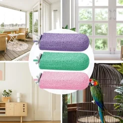 DTOPBUYAGE - Bâton meulage calcium pour perroquets