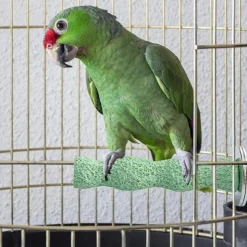 DTOPBUYAGE - Bâton meulage calcium pour perroquets