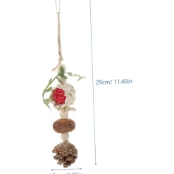 DTOPBUYAGE - Cône de pin et boule de rotin pour oiseaux pour chasser et mâcher