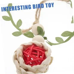 DTOPBUYAGE - Cône de pin et boule de rotin pour oiseaux pour chasser et mâcher