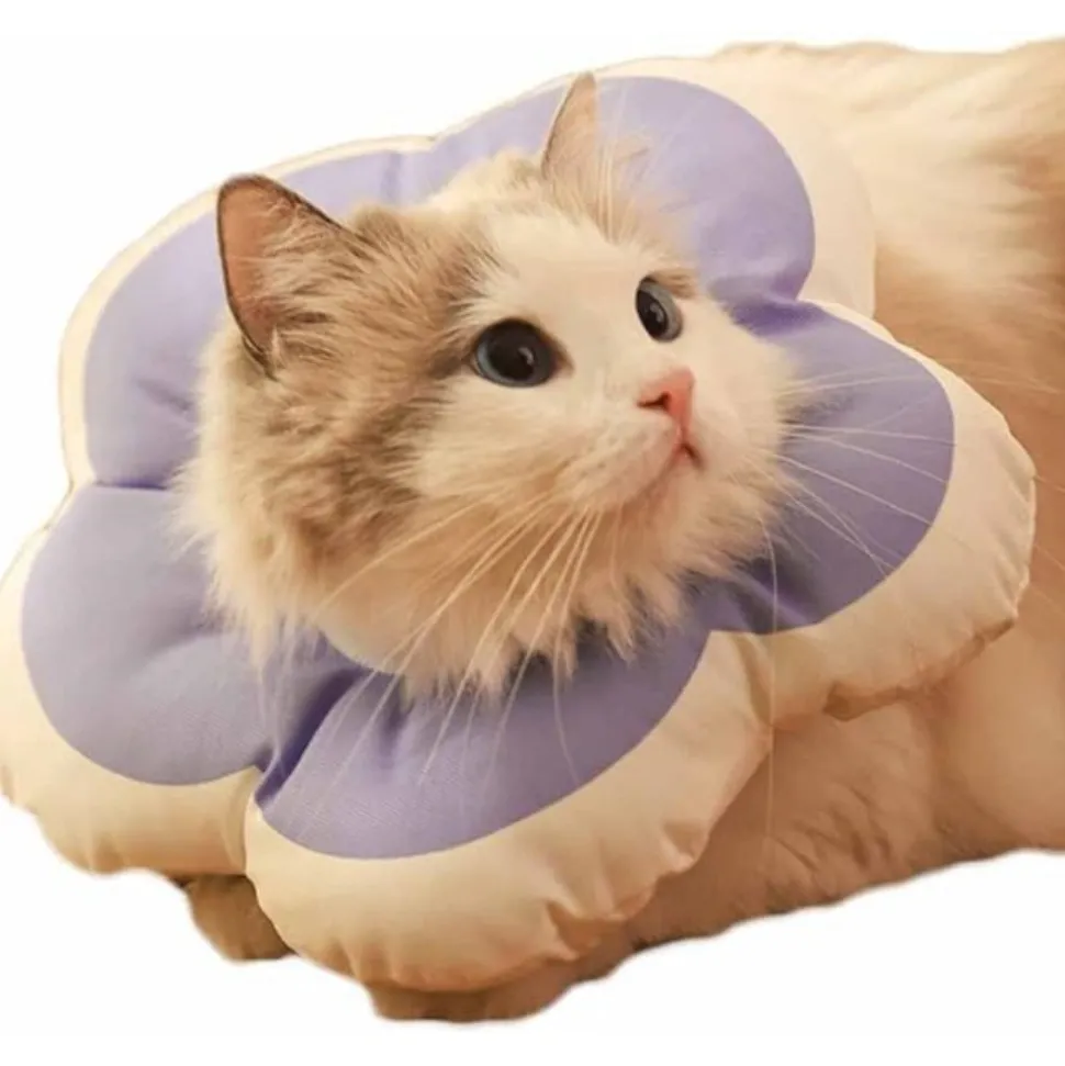 DTOPBUYAGE - Collier anti - morsure réglable doux léger pour chats violet xs