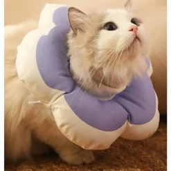 DTOPBUYAGE - Collier anti - morsure réglable doux léger pour chats violet xs