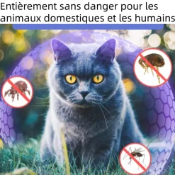 DTOPBUYAGE - Collier anti-insectes réglable pour chat dtopbuyage