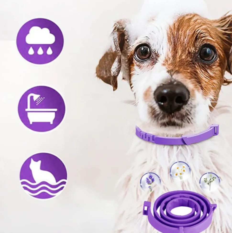 DTOPBUYAGE - Collier apaisant réglable dtopbuyage pour chiens