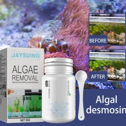 DTOPBUYAGE - Comprimés anti-algues et anti-mousse, 50 g + dosette - dtopbuyage