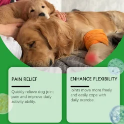 DTOPBUYAGE - Comprimés de soin articulaire pour chiens, 80 tablets - dtopbuyage