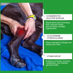 DTOPBUYAGE - Comprimés de soin articulaire pour chiens, 80 tablets - dtopbuyage