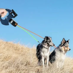 DTOPBUYAGE - Corde rétractable pour chien avec lampe et support sac dtopbuyage