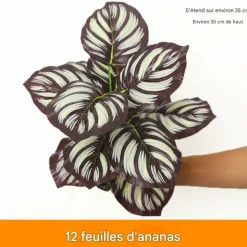DTOPBUYAGE - Décoration pour mur de plantes artificielles - feuille d'ananas à 12 têtes - dtopbuyage