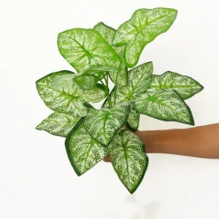 DTOPBUYAGE - Décoration pour mur de plantes artificielles - feuille à 12 têtes - dtopbuyage