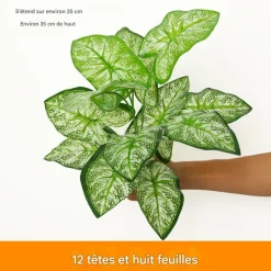 DTOPBUYAGE - Décoration pour mur de plantes artificielles - feuille à 12 têtes - dtopbuyage