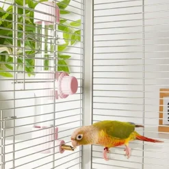 DTOPBUYAGE - Distributeur d'eau automatique rose 280 ml pour oiseaux