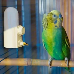 DTOPBUYAGE - Distributeur eau perroquet 200ml multi - usages