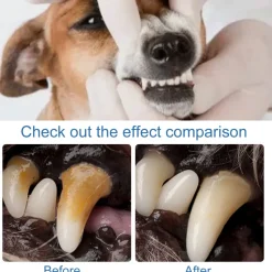 DTOPBUYAGE - Désincrustant dentaire pour animaux de compagnie, 60 ml - dtopbuyage