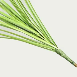 DTOPBUYAGE - Dtopbuyage - roseaux artificiels, 10 pièces
