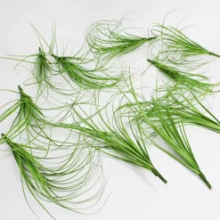 DTOPBUYAGE - Dtopbuyage - roseaux artificiels, 10 pièces