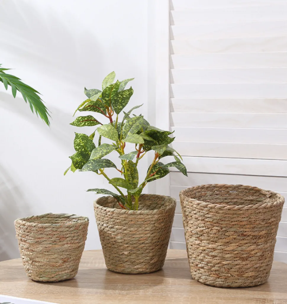 DTOPBUYAGE - Dtopbuyage - roseaux artificiels, 10 pièces