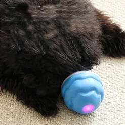 DTOPBUYAGE - Dtopbuyage boule interactive pour chien