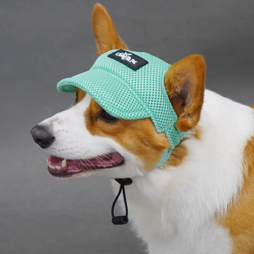 DTOPBUYAGE - Dtopbuyage chapeau de soleil pour chiens