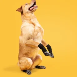 DTOPBUYAGE - Dtopbuyage chaussettes anti - dérapantes pour chiens et chats