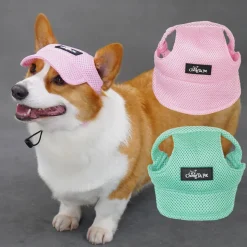 DTOPBUYAGE - Dtopbuyage chapeau de soleil pour chiens