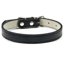 DTOPBUYAGE - Dtopbuyage collier en cuir pour chats et chiens
