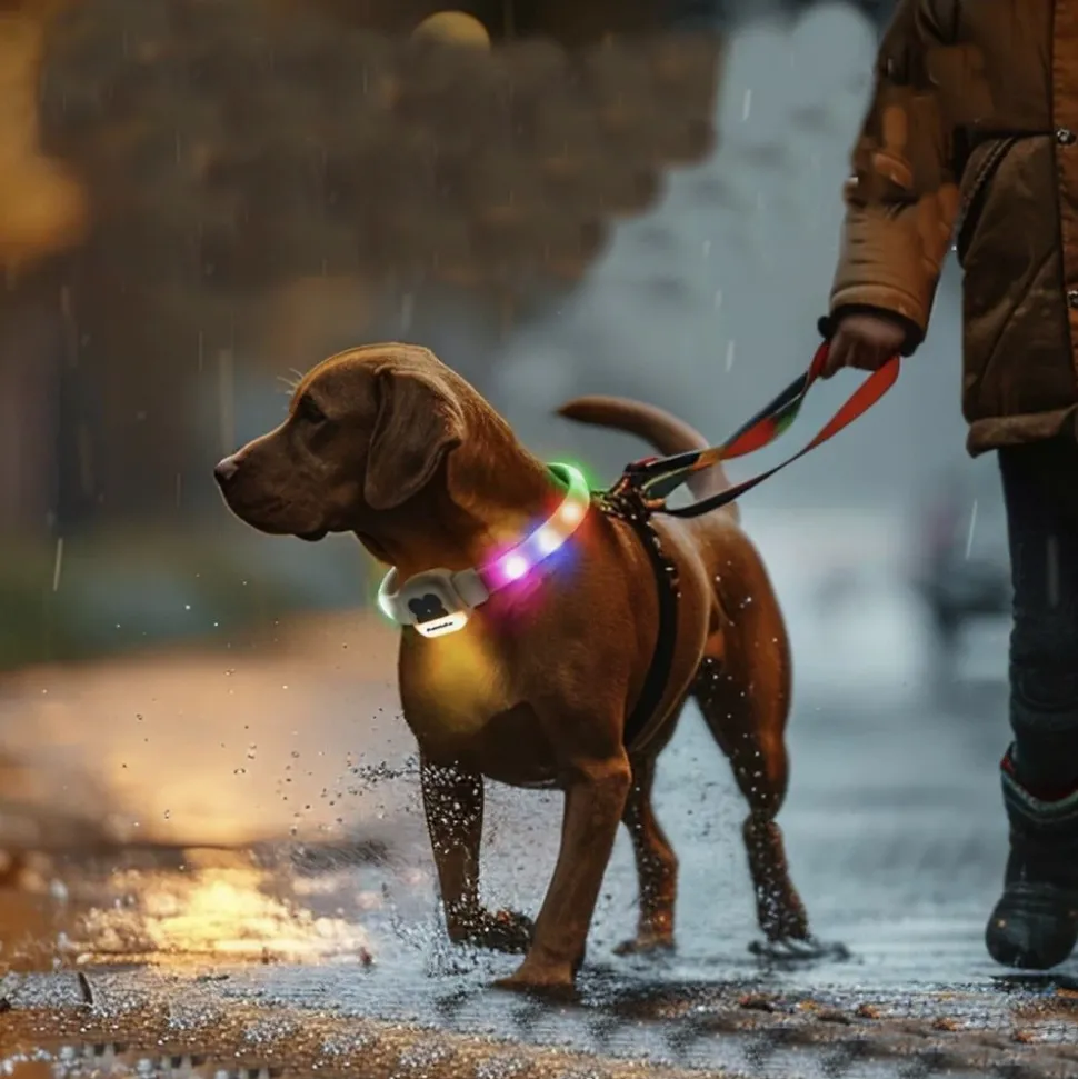 DTOPBUYAGE - Dtopbuyage collier lumineux réglable pour chiens