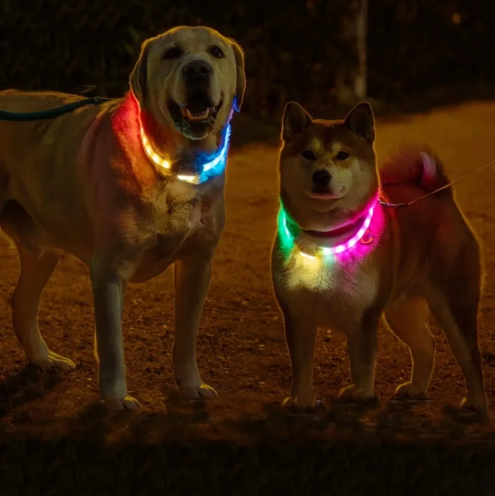 DTOPBUYAGE - Dtopbuyage collier lumineux réglable pour chiens
