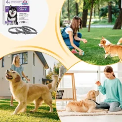 DTOPBUYAGE - Dtopbuyage colliers apaisants pour chiens