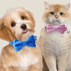 DTOPBUYAGE - Dtopbuyage collier nœud papillon pour chat