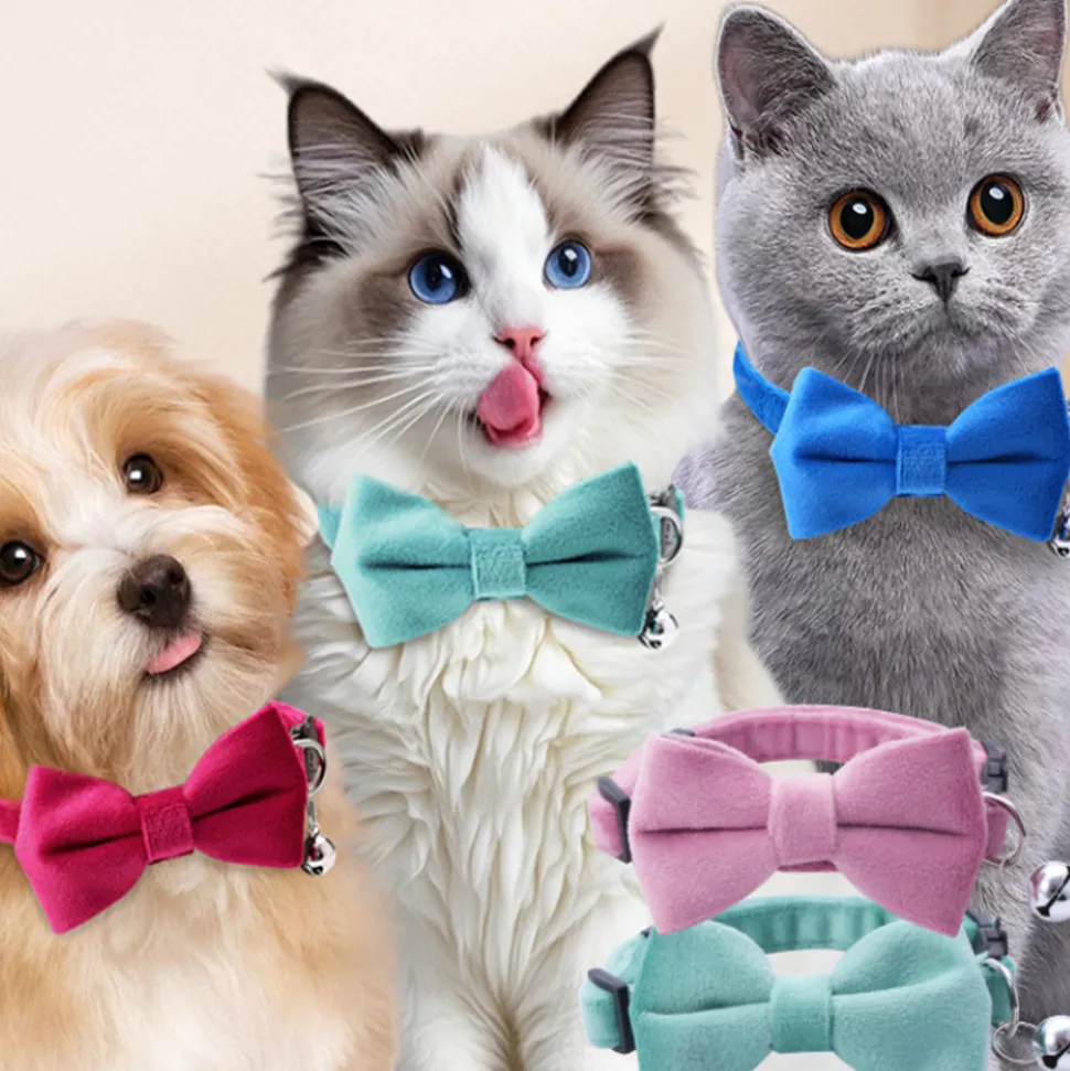 DTOPBUYAGE - Dtopbuyage collier nœud papillon pour chat