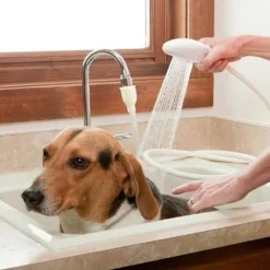 DTOPBUYAGE - Dtopbuyage douche simple pour animaux de compagnie