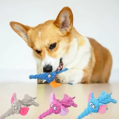 DTOPBUYAGE - Dtopbuyage jouet pour chien - en peluche, interactif